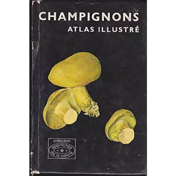 Champignons Atlas Illustré - Collectif-image