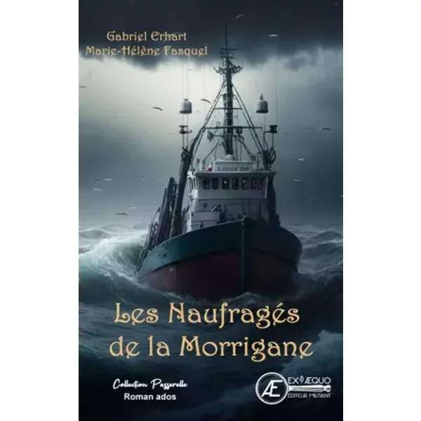Les NaufragéS De La Morrigane - Gabriel Erhart-image