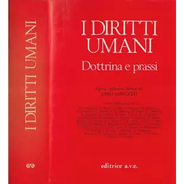 I diritti umani. Dottrina e prassi.