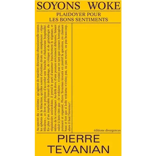 Soyons Woke: Plaidoyer pour les bons sentiments - Pierre Tevanian