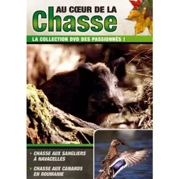 Au Coeur De La Chasse : Chasse aux sangliers à Navacelles / Chasse aux canards en Roumanie