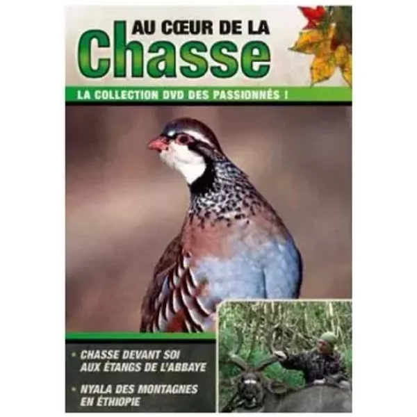 Au Coeur De La Chasse : Chasse Devant Soi aux Etangs de L' Abbaye Nyala des Montagne en Ethiopie