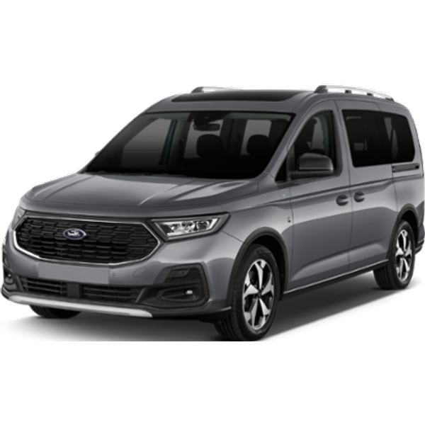 SCHIPHOL - FORD TOURNEO CONNECT or similar (Standard)