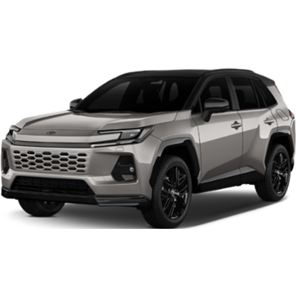 DAVID - TOYOTA RAV4 2.0 or similar (Intermediate)