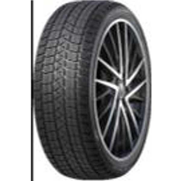 Winter Pro TSS1
