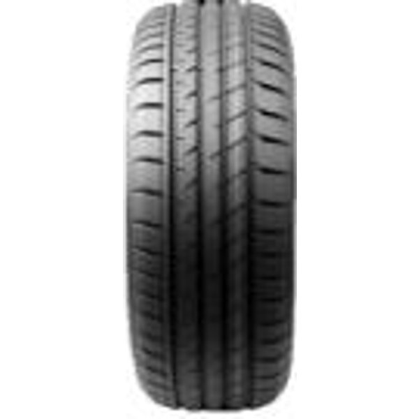 Sport D1