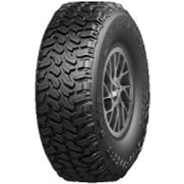 Catchfors M/T