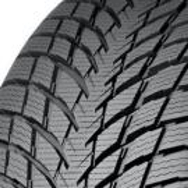 WR Snowproof P FRT