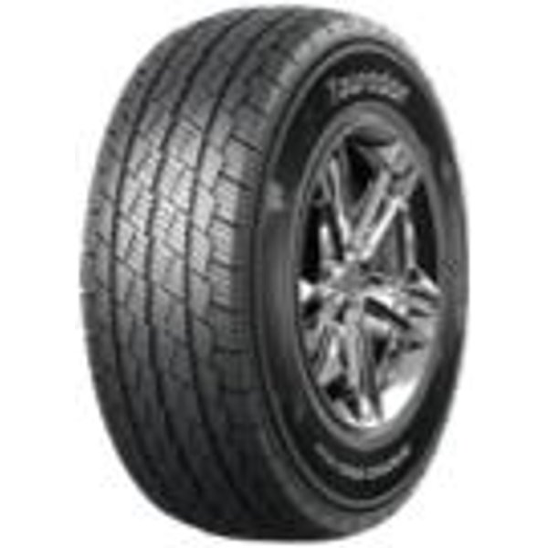 Winter Pro TSV2