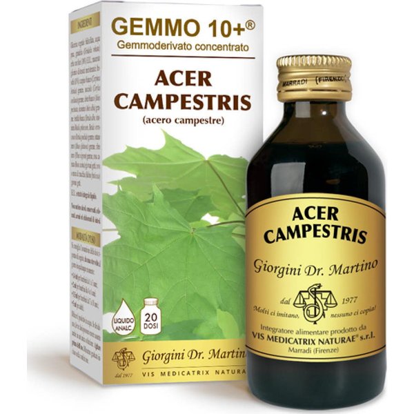 Dr. Giorgini Gemmo 10+ Arce Campestris 500 Ml-image