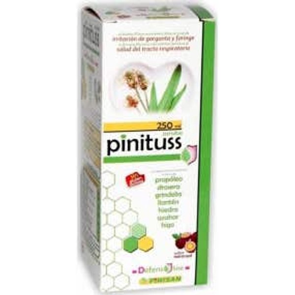 Pinisan Jarabe Pinituss 250Ml-image