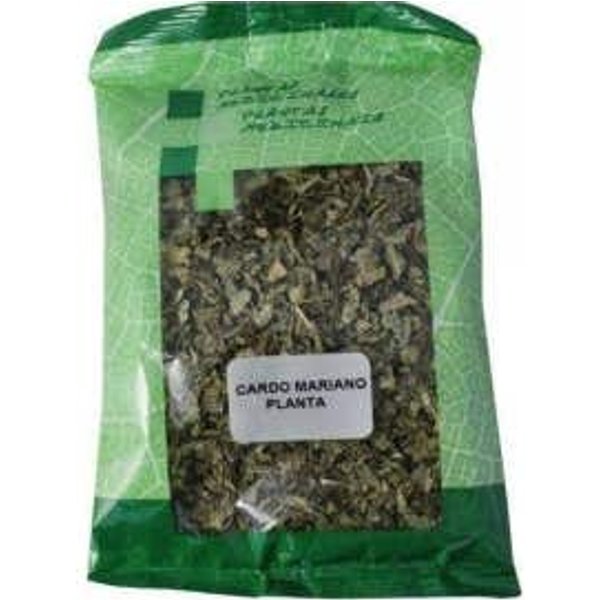 Plameca Planta Cardo Mariano 40 G-image