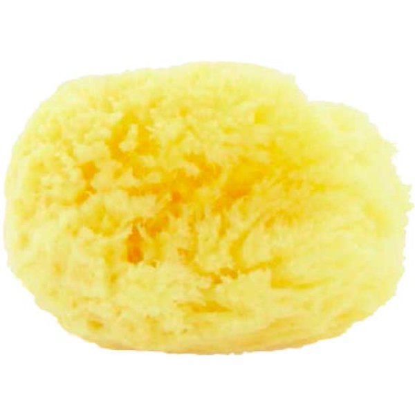 Biemmefarma Esponja Mar Natural M 1 Ud-image