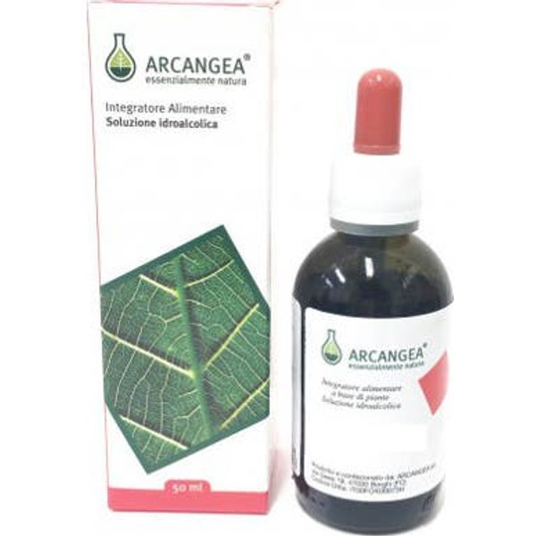Arcangea Vaccinium Vitis Gemmoderivado 50 Ml-image