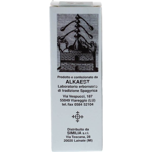 Alkaest Mgs7 Higo Macerado GlicéRico Spg 20 Ml-image