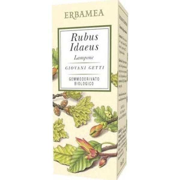 Erbamea Rubus Idaeus Frambuesa Gemmoderivato Bio 50 Ml-image