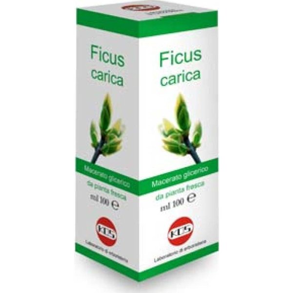 Kos Gotas De Macerado GlicéRico De Ficus Carica 100 Ml-image