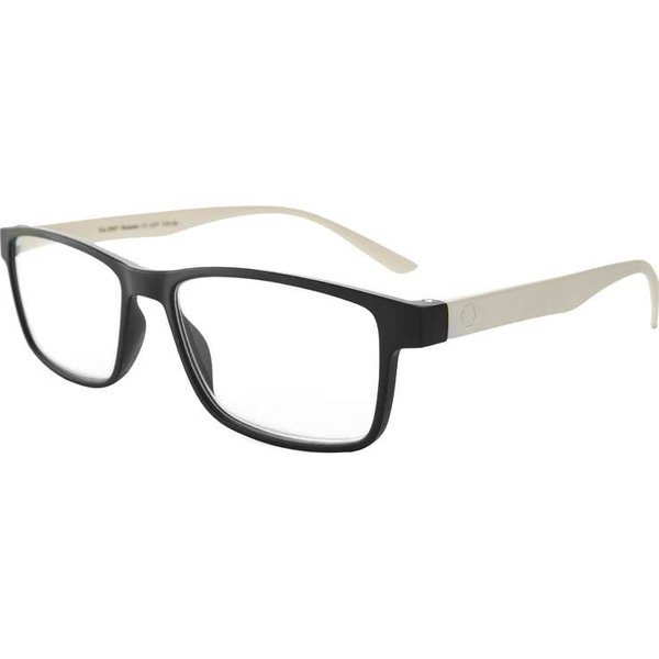 Nordic Vision Gafas Vastervik +2.50 1Ud-image