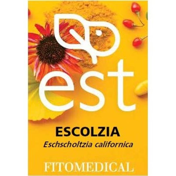 Fitomedical EquináCea Extracto Seco 60 Comp-image