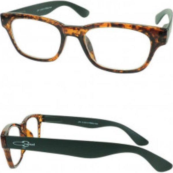 Vitry Gafas St Germain Asia +3.50 1Ud-image