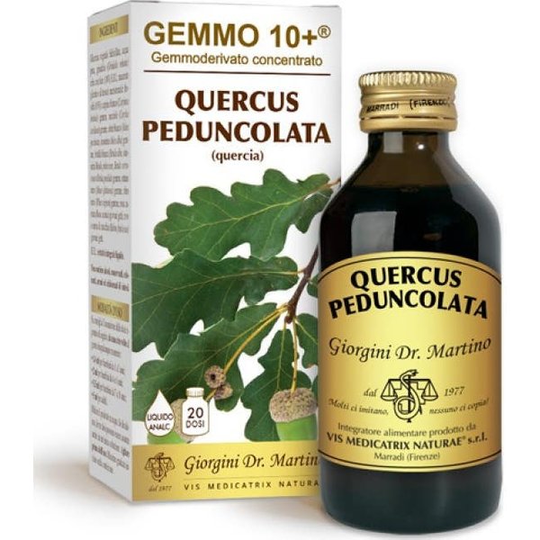 Dr. Giorgini Gemmo 10+ Quercus Peduncolata 100 Ml-image