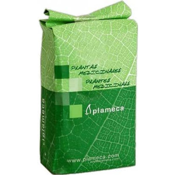 Plameca Ginkgo Biloba Hoja Triturada 1Kg-image