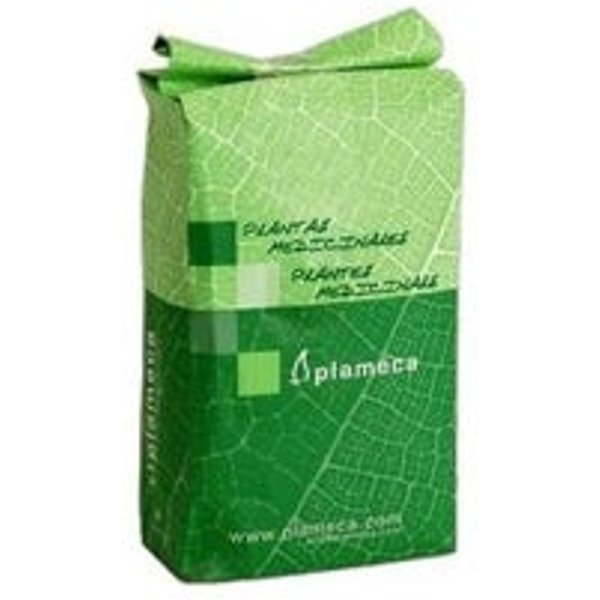 Plameca Cardo Mariano Semillas 1Kg-image