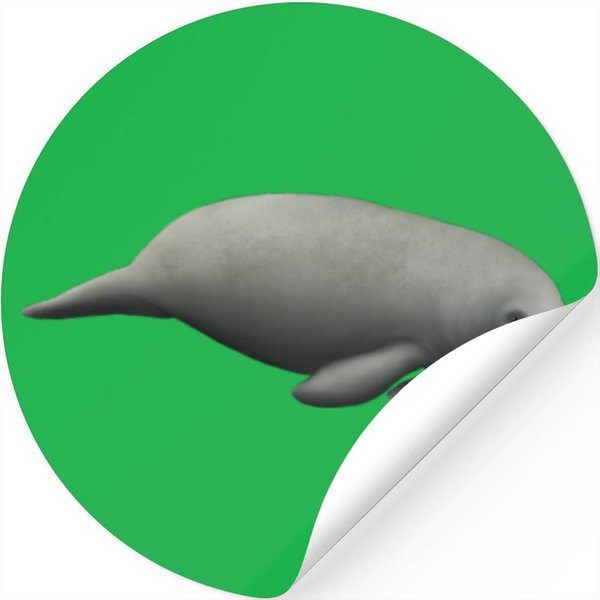 Manatee-image