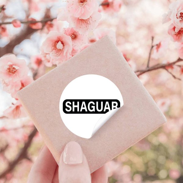Austin Powers Shaguar License Plate Bumpe Stickers-image