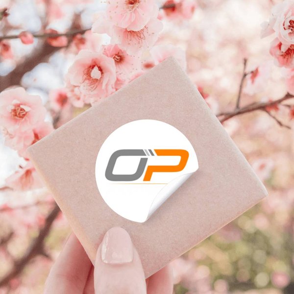 Oscar Piastri Stickers-image