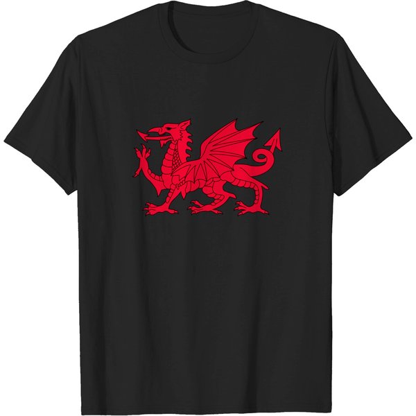 Dragon Of Wales Flag Cool Welsh Cymru Flags Men Women Gift T-Shirt-image