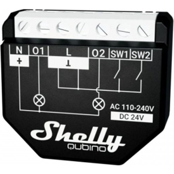 Shelly Qubino Wave 2PM-image