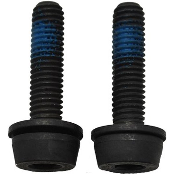Campagnolo Rear Mount Screws