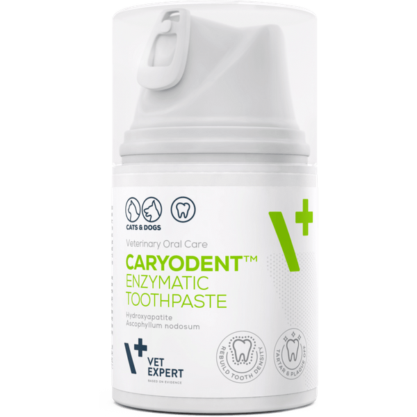 CARYODENT Enzymatische Gel-Zahnpasta
