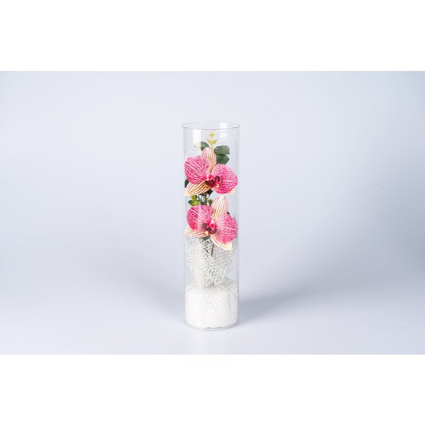 LED-Deko „OrchiDee im Glas“