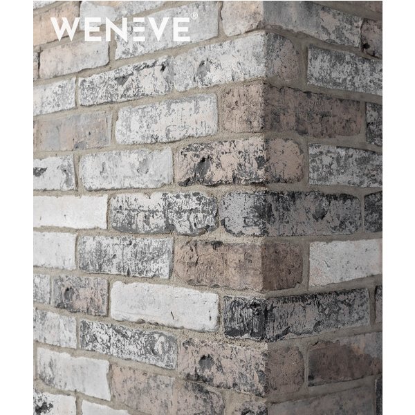 19x6,5x8,5 cm DS - (V7 stara cegła narożnik) - cegła betonowa na ścianę