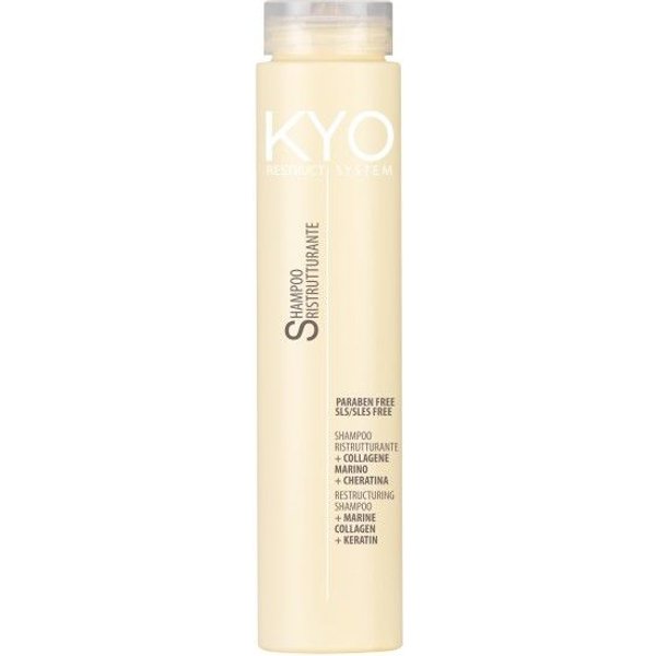 Kyo Shampoo Restruct System 250 ml