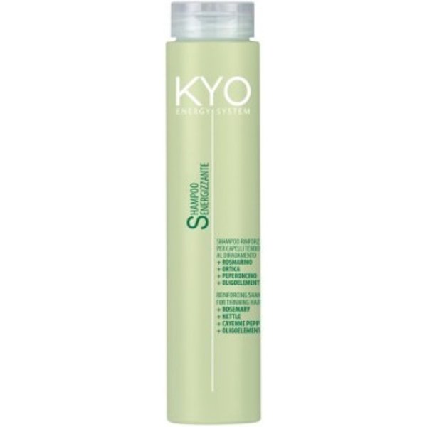 Kyo Shampoo Energizzante Energy System Shampoo Rinforzante 250 ml