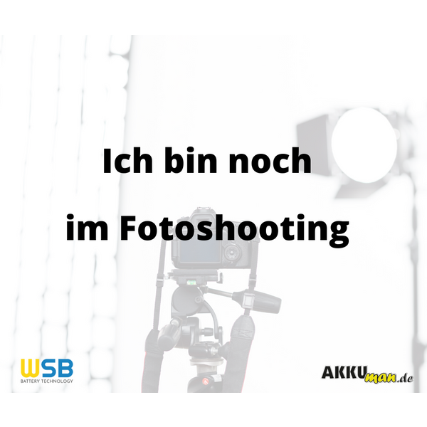 Fiamm Blei-Akku 12FGH50 12V 12000Mah Pb Faston 6,3 Mm-image