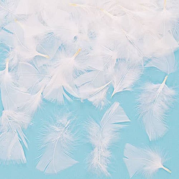 White Feathers (20g Bag) Natural Craft Materials