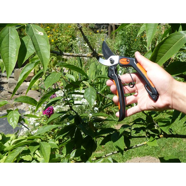 Garten PRIMUS Herren-Gartenschere, Länge: 205 mm