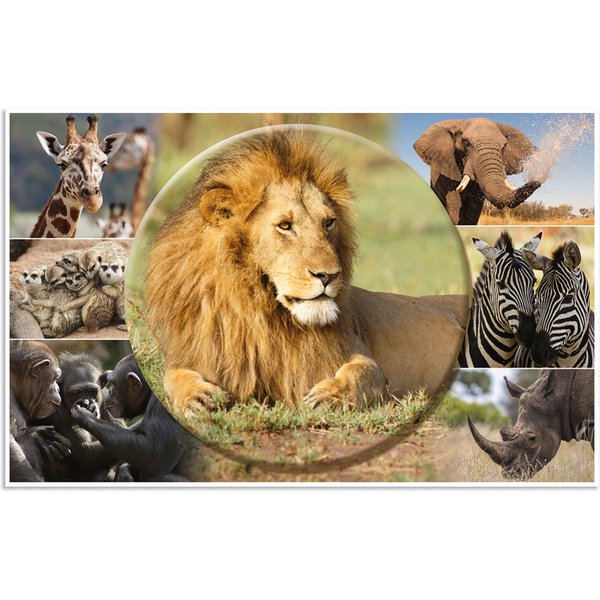 HERMA Schreibunterlage , Afrika Tiere, , (B)550 x (H)350 mm