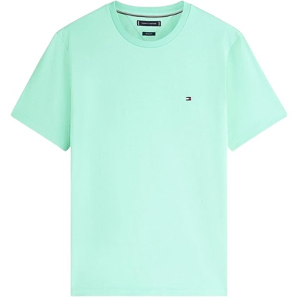 Tommy Hilfiger Flag Embroidery Crew Neck T-Shirt - Aqua Blue - XL