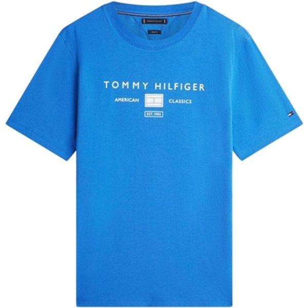 Tommy Hilfiger Brand Love Mono Logo T-shirt - Blue - S