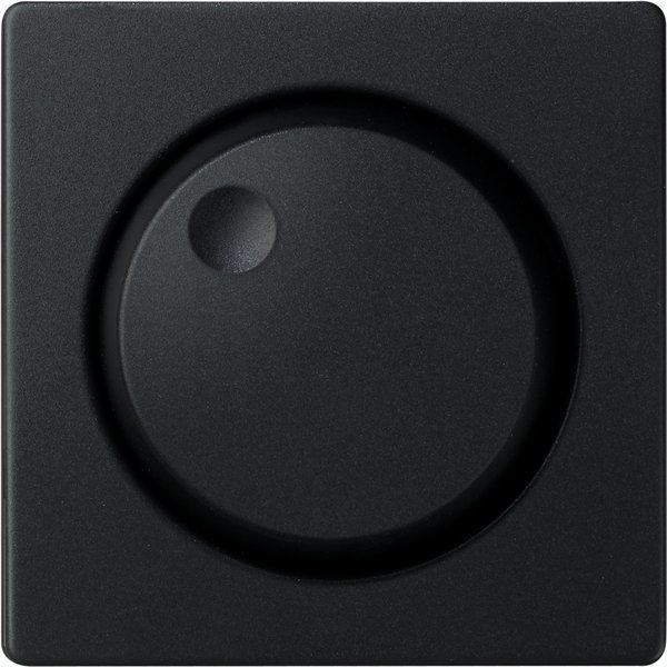 Tapa int/conmut regul negro mate