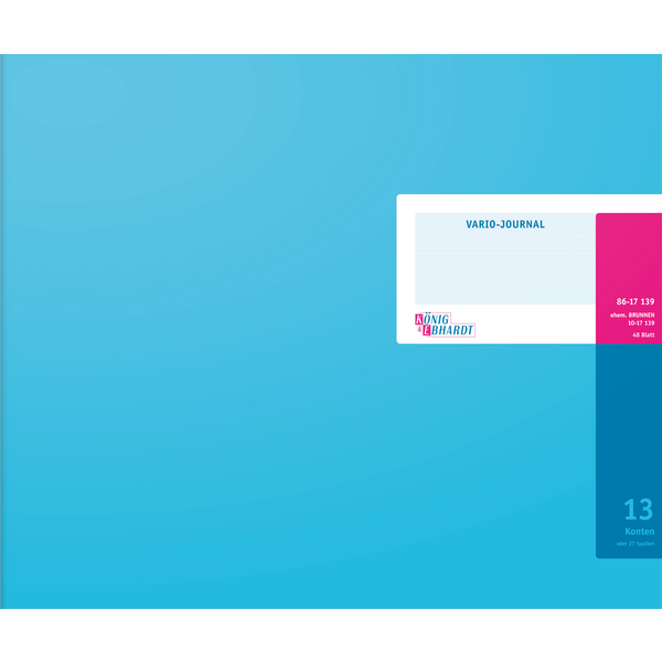 Vario-Journal mit Kopfleiste | 348×255 mm, 96 Seiten, Konten-Journal, Karton, magenta/hellblau