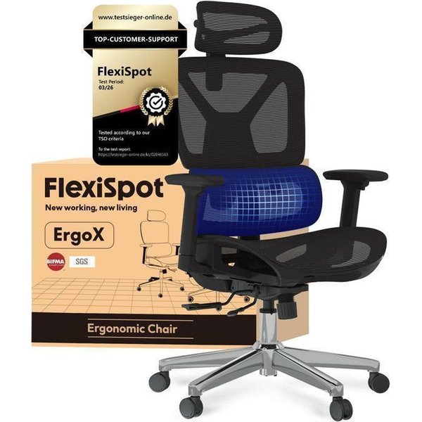 FLEXISPOT FlexiSpot Chaise de Bureau Ergonomique Appui-tête 3D Accoudoir 3D et Support Lombaire 5D Indépendant en Maille Noir