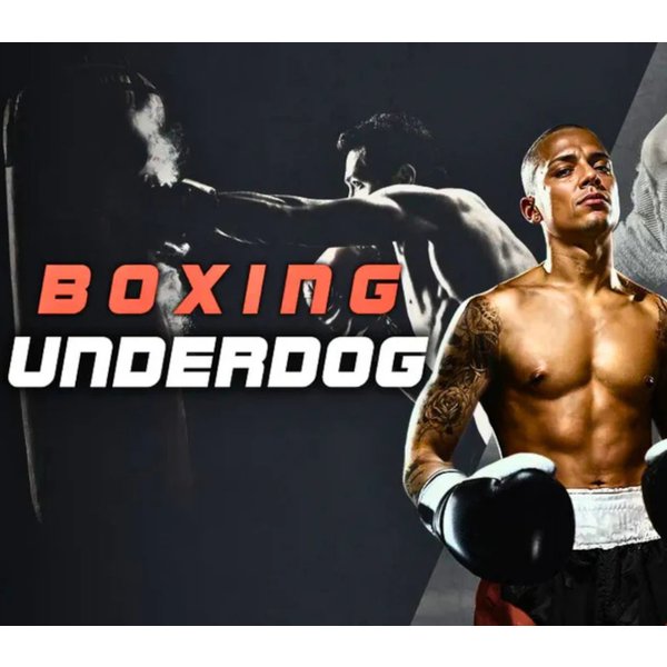 Boxing Underdog Meta Quest Gift