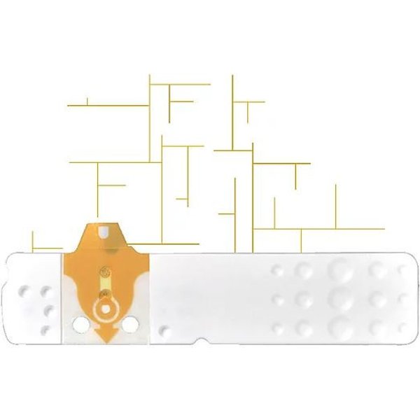 Linea d oro 25str glicemia