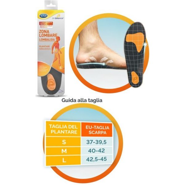 Scholl plantare lombare s 2pz